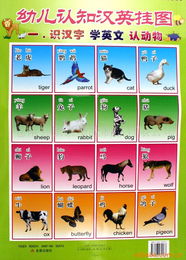 蒼南縣康泰塑膠制品